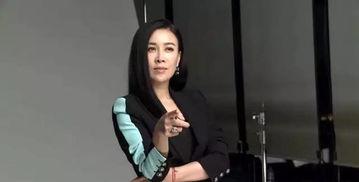 那英事件视频在线观看,网络热议背后的真相揭晓  第1张