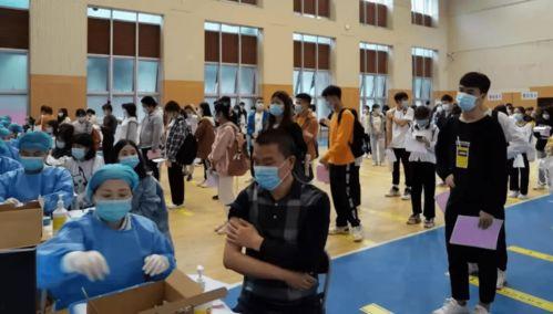 易阳利哥最新爆料消息今天,今日热点事件深度解析  第3张